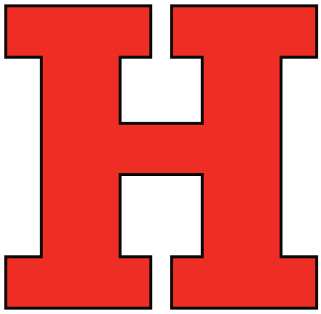 Hartford Hawks 1984-Pres Wordmark Logo diy fabric transfer